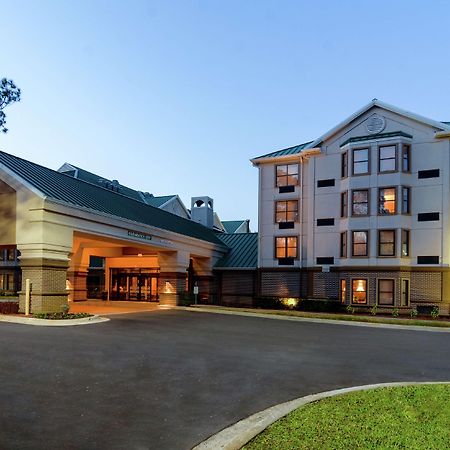 Hampton Inn & Suites Tampa-North Экстерьер фото
