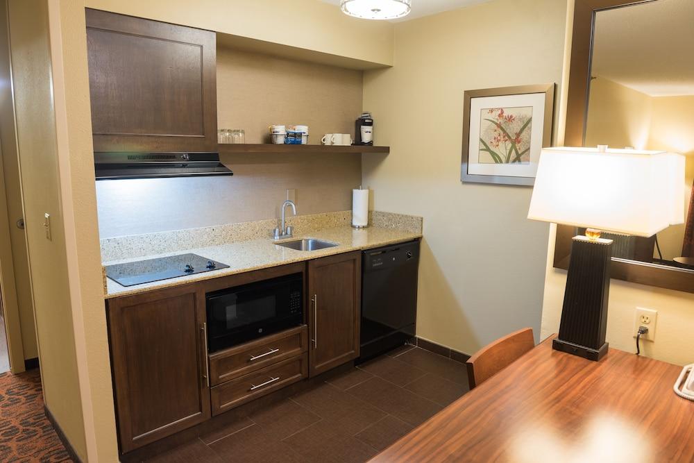Hampton Inn & Suites Tampa-North Экстерьер фото