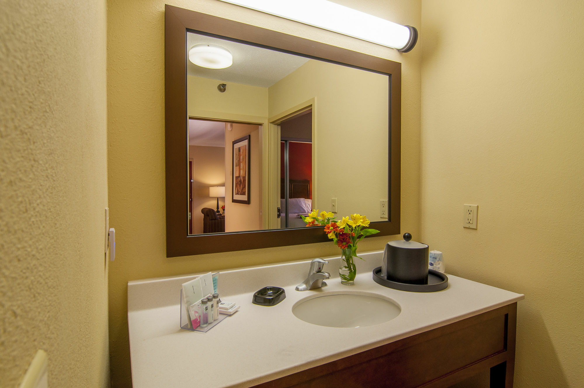 Hampton Inn & Suites Tampa-North Экстерьер фото