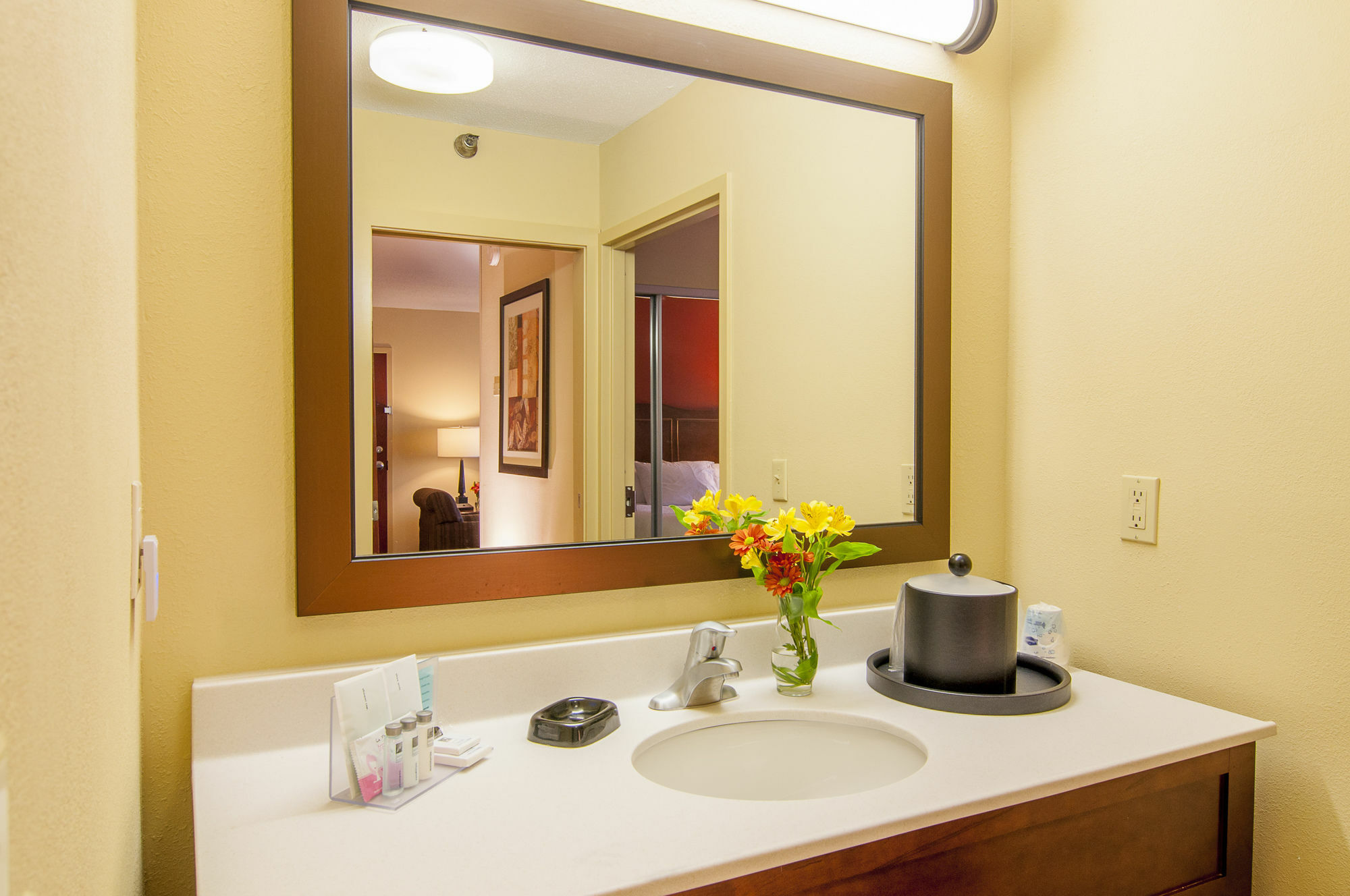 Hampton Inn & Suites Tampa-North Экстерьер фото