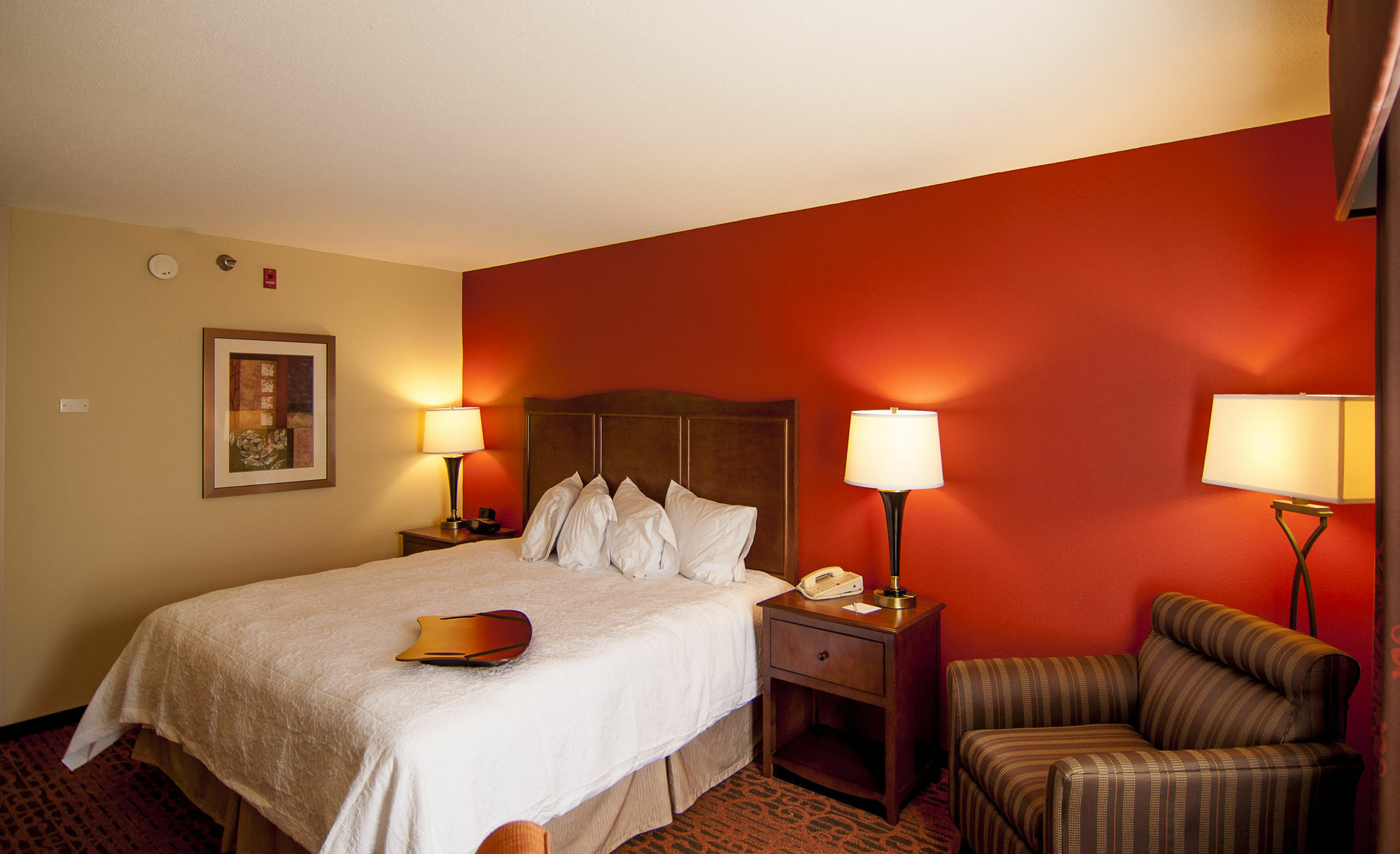 Hampton Inn & Suites Tampa-North Экстерьер фото